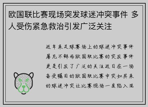 欧国联比赛现场突发球迷冲突事件 多人受伤紧急救治引发广泛关注